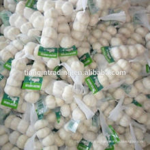 Pure white garlic